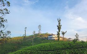 Tranquil Ridge Hilltop Bungalow